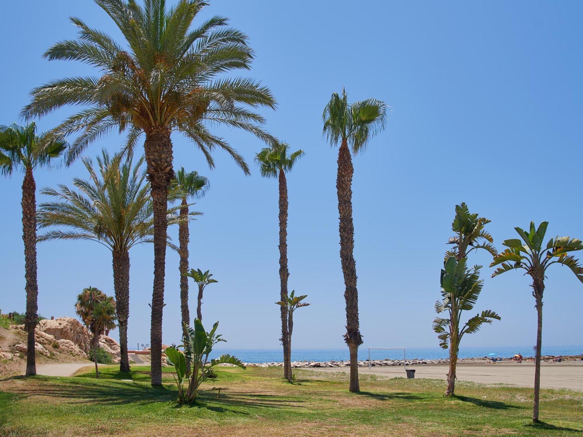 Lovely Studio With Seaview 700M From The Beach La Cala Del Moral 외부 사진